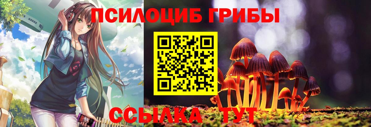 Галлюциногенные грибы Cubensis Родники